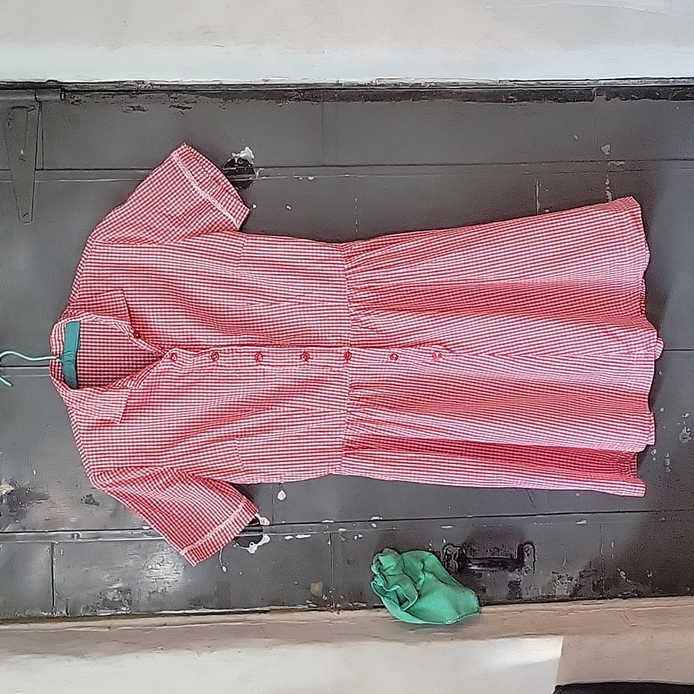 Vintage Gingham Dress - Picture 11 of 13